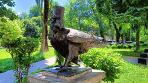 IMG20240619120025.jpg
