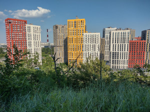 Фото Нanoy
