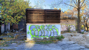 IMG20241105084213.jpg