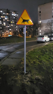 Фото Сергій Соlt