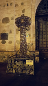 IMG20250112204312.jpg