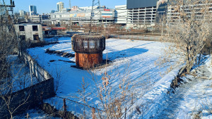 IMG20250223153916.jpg