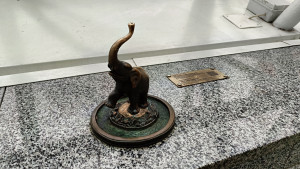 IMG20240320134325.jpg