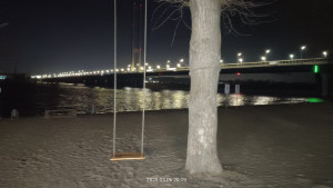 IMG20250306201923.jpg