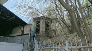 IMG_20250407_235331.jpg (7.55 МБ) 6184 просмотра IMG_20250407_235331.jpg