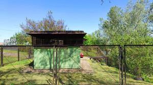 IMG_20250425_223816.jpg (7.02 МБ) 3151 просмотр IMG_20250425_223816.jpg