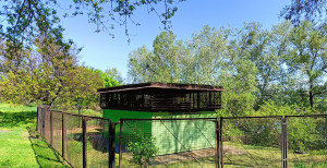 IMG_20250425_223910.jpg (6.9 МБ) 4795 просмотров IMG_20250425_223910.jpg