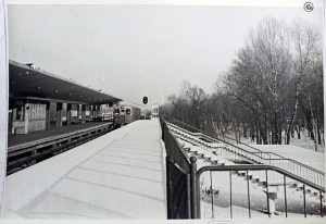 173503466a.jpg