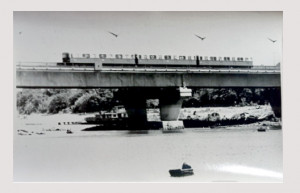 163190714e.jpg