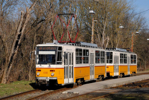 t5c5-4000--4171-sind-1073843.jpg