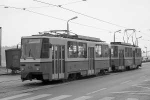 1568968.jpg