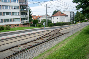 00295512.jpg