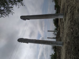 IMG_20200501_140649.jpg
