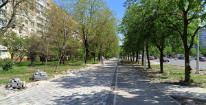 IMG-d8d24fcbcef2ae674e8267a3d5940f55-V.jpg
