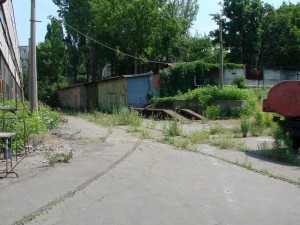 445099.jpg