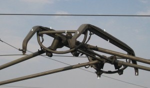 pant head 02.jpg