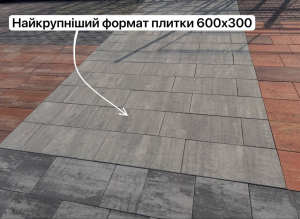 Sidewalk transit Dn3.png