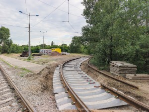 2290607.jpg