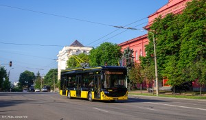 IMG_7950.jpg